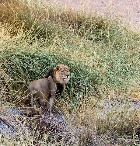 Etosha National Park