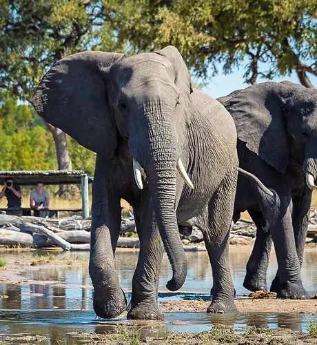 Hwange National Park
