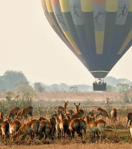 Kafue National Park