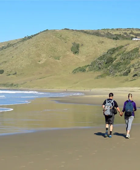 Wild Coast