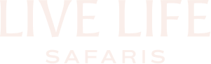 Live Life Safaris