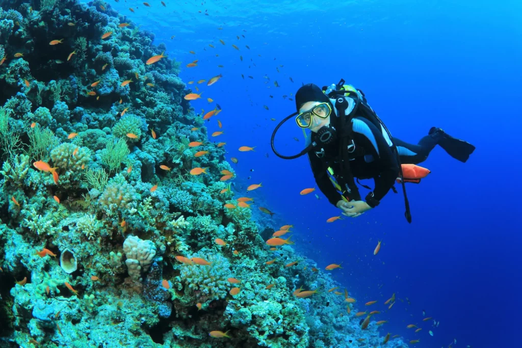 Indian Ocean Islands
