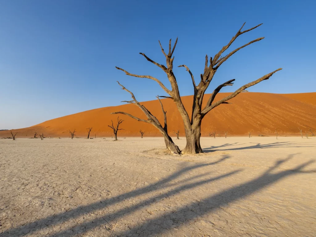Namibia