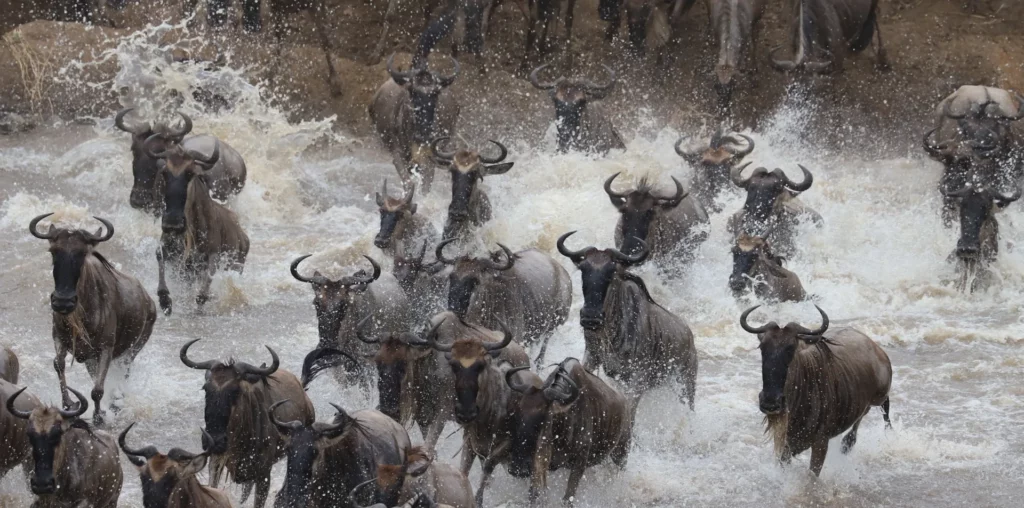 Tanzania